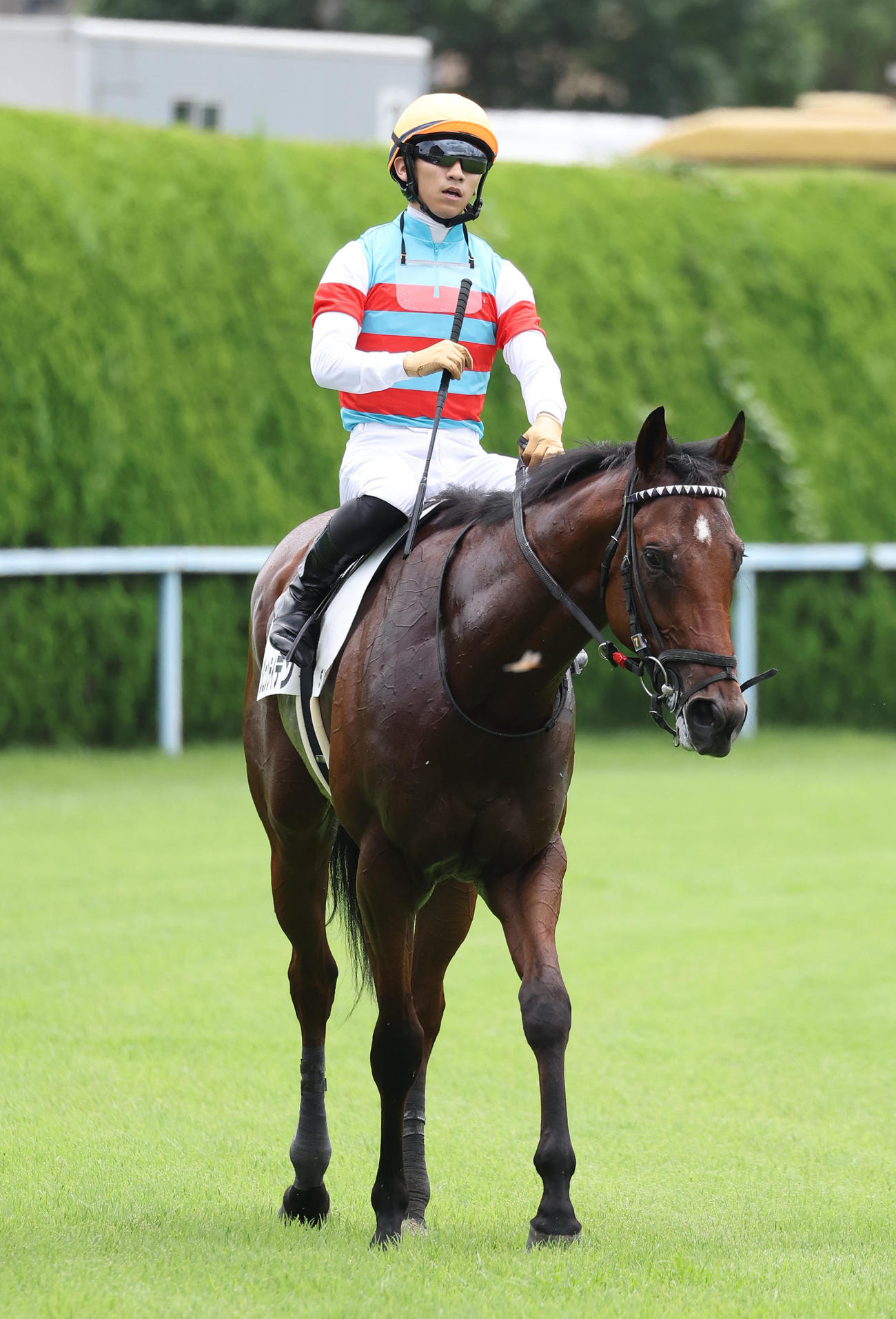 小倉5R、新馬戦を制したジュンライデン（撮影・白石智彦）