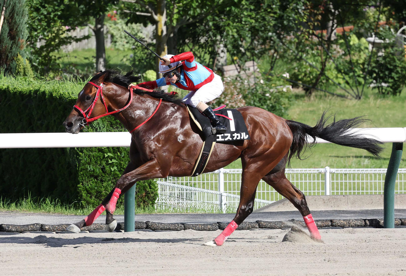 福島11R、TUF杯を逃げ切ったエスカルと松若騎手（撮影・丹羽敏通）