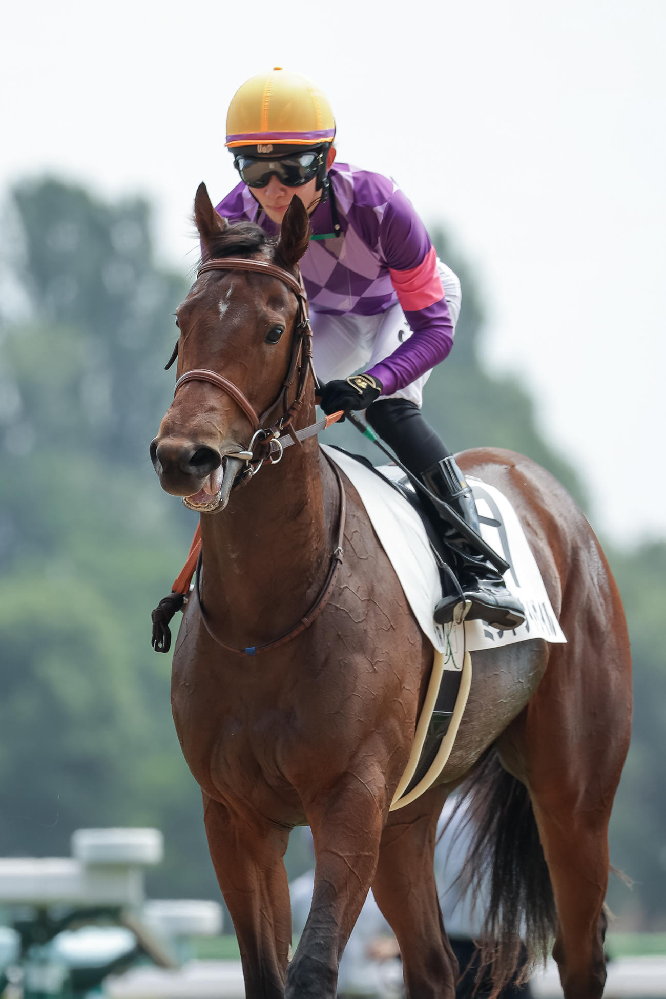 2歳未勝利を勝ち上がったミッドナイトゲイルと小林勝騎手（撮影・村野早祐）