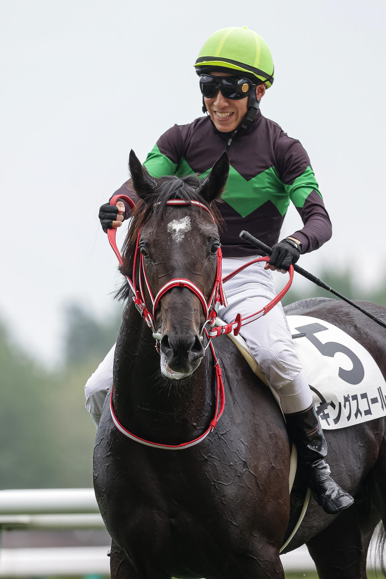 デビュー戦を制したキングスコールと藤岡騎手（撮影・村野早祐）