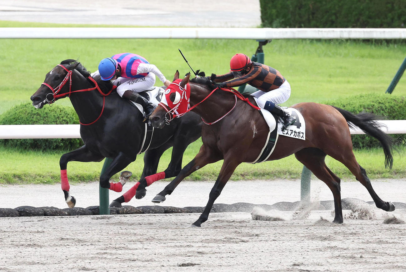 モズアカボスに騎乗し小倉12Rを勝利した小牧太騎手（右）（撮影・白石智彦）