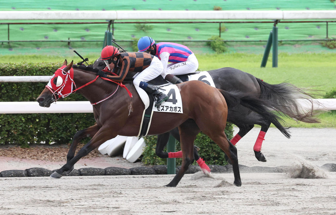 モズアカボスに騎乗し小倉12Rを勝利した小牧太騎手（撮影・白石智彦）