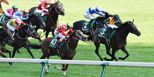 アイビスSDを制したオールアットワンス(手前集団先頭)、2着トキメキ(10番)(撮影・柴田隆二)=2023年7月30日、新潟競馬場
