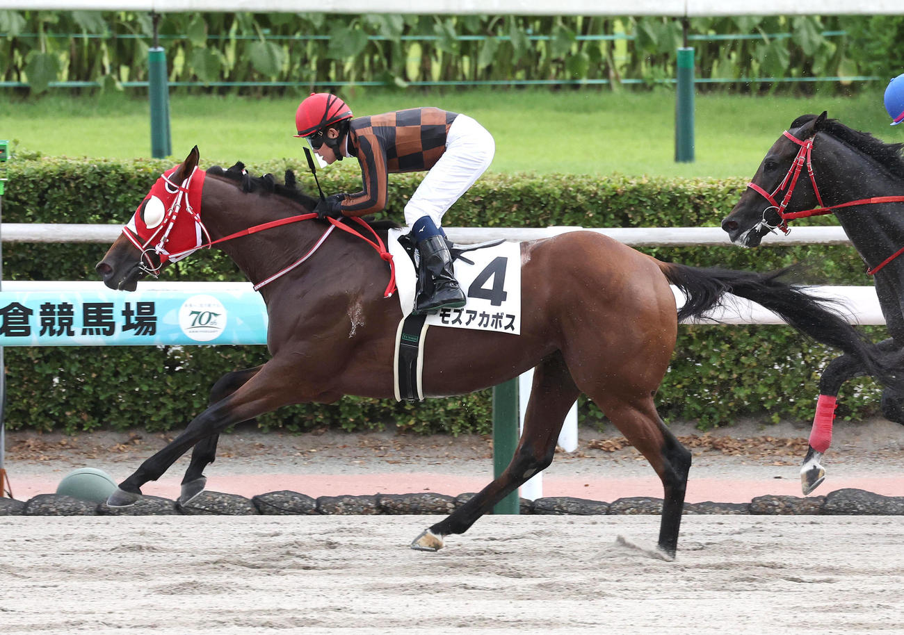 モズアカボスに騎乗し小倉12Rを勝利した小牧太騎手（撮影・白石智彦）