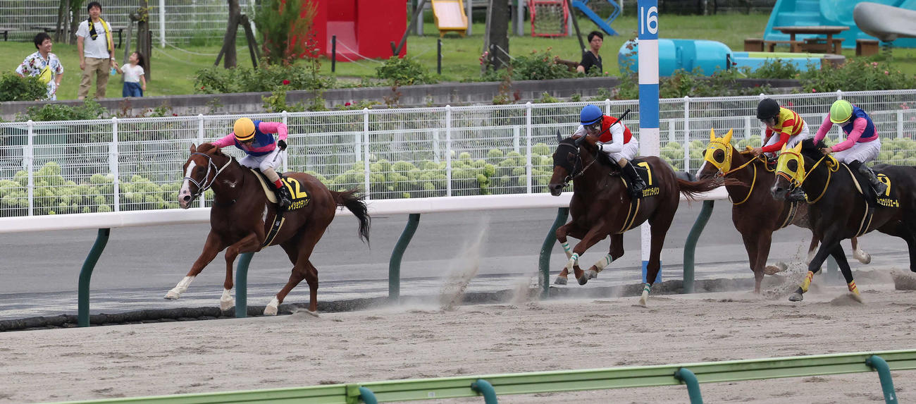 逃げ切ってジュライSを快勝したメイショウテンスイと吉田豊騎手（撮影・丹羽敏通）