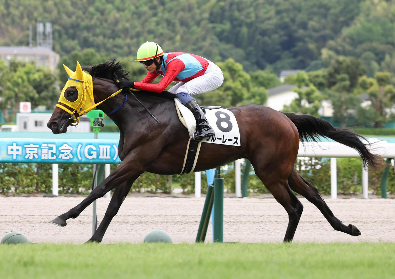 小倉5R、直線抜け出して新馬戦を制したブルーレース（撮影・白石智彦）