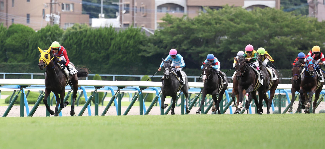 小倉5R、直線抜け出して新馬戦を制したブルーレース（左）（撮影・白石智彦）