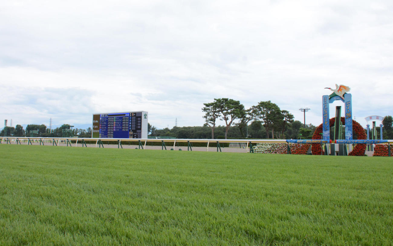 新潟競馬場のゴール付近