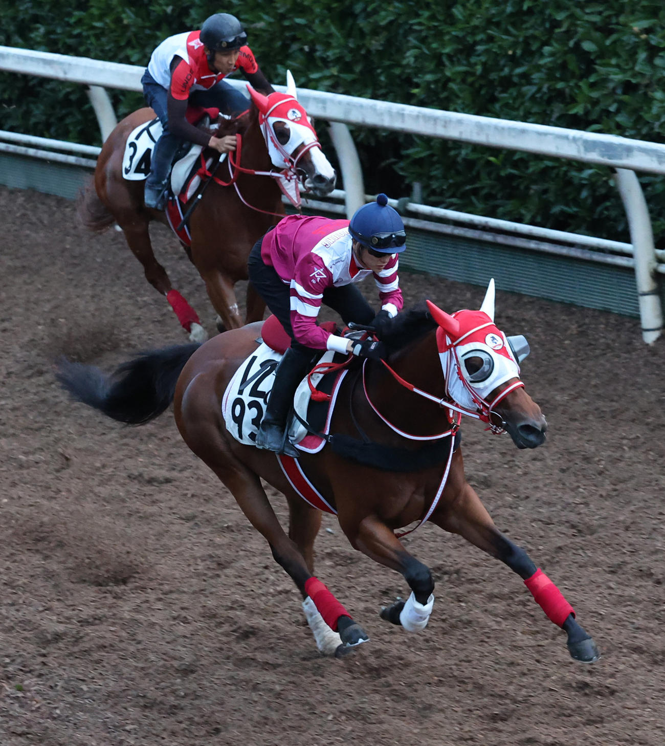 17日、坂路で追い切るチェイスザドリーム