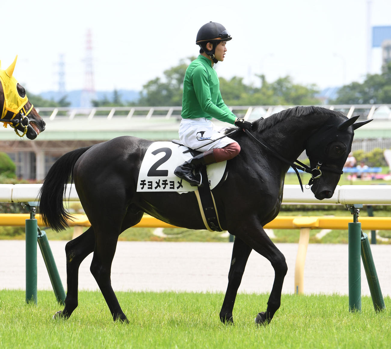 新馬戦で本馬場に入場したチョメチョメと三浦皇成騎手（23年6月18日撮影）