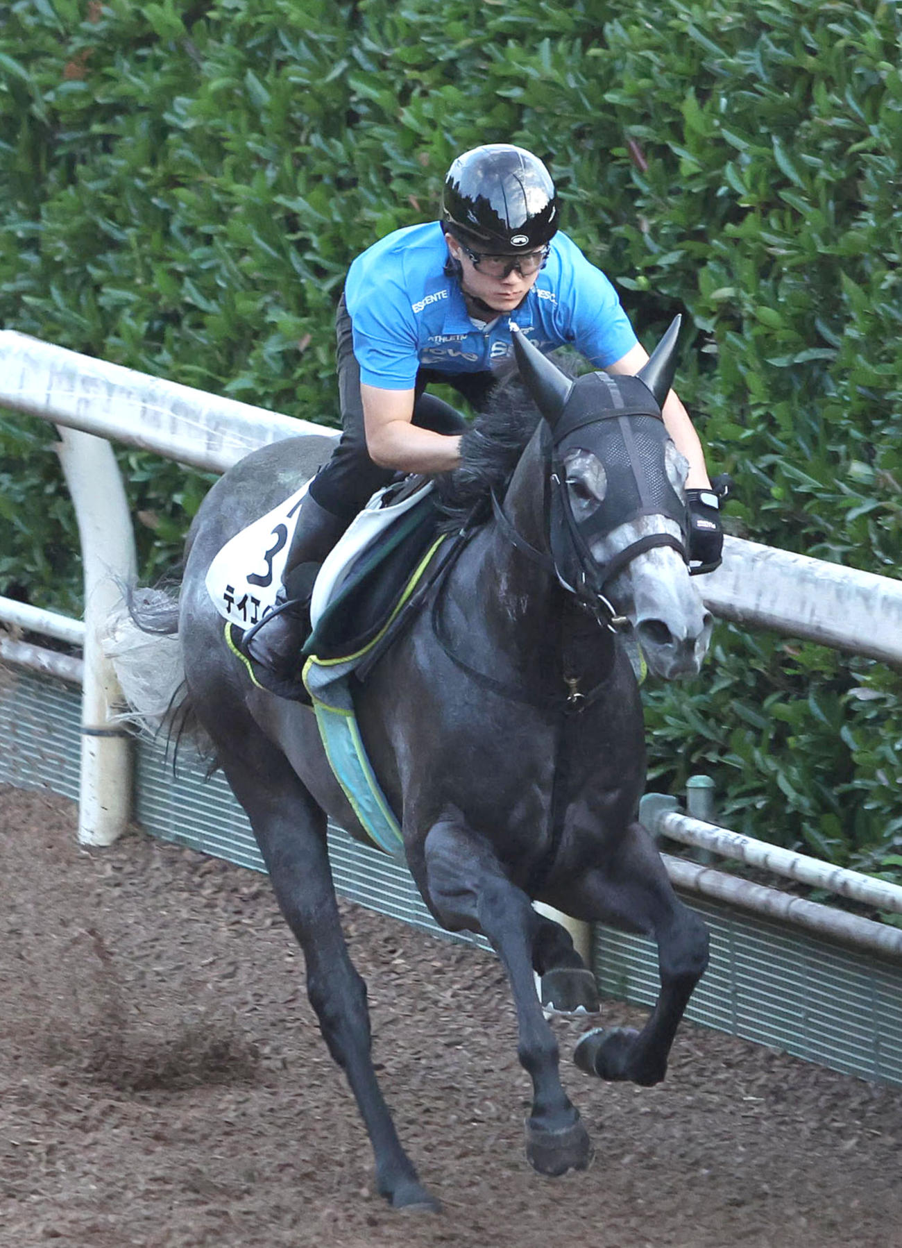 坂路を単走で追い切るテイエムスパーダ（撮影・白石智彦）
