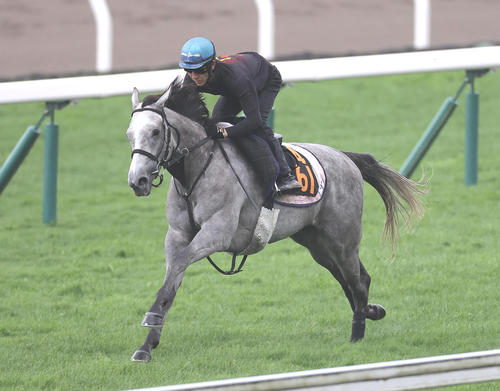コガネノソラ「見た目以上にいい」4年ぶり51キロ騎乗の丹内騎手「人馬