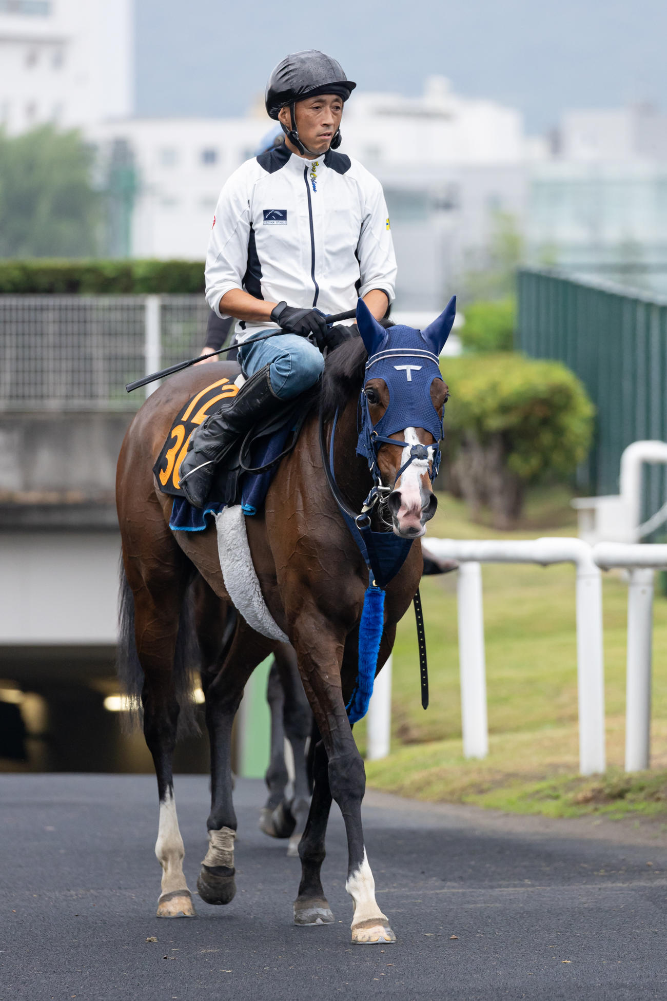調教を終え引き上げるボンドガール（撮影・村野早祐）