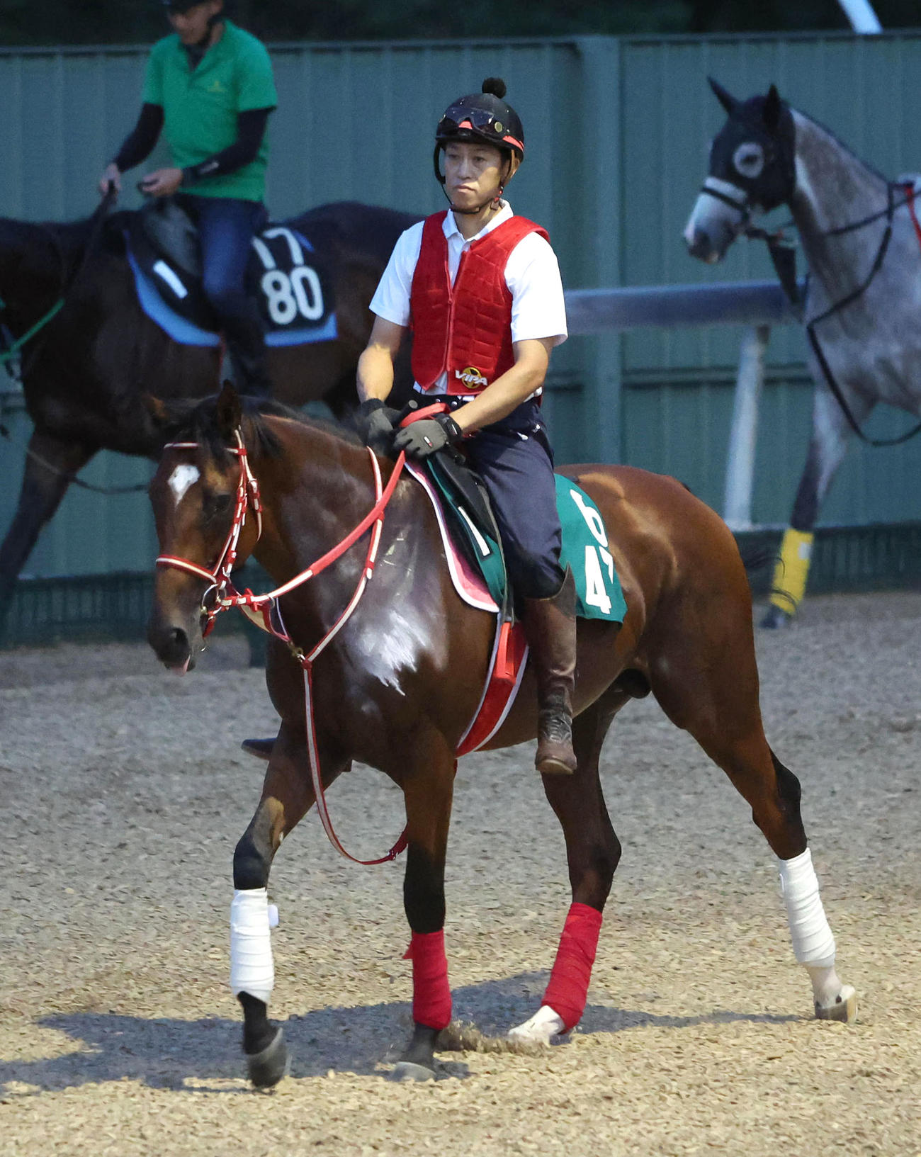 角馬場で運動するオンザムーブ（撮影・白石智彦）