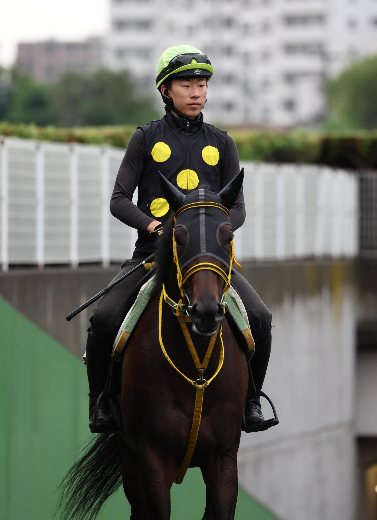 札幌芝コースで追い切られたモズゴールドバレルと高杉吏麒騎手