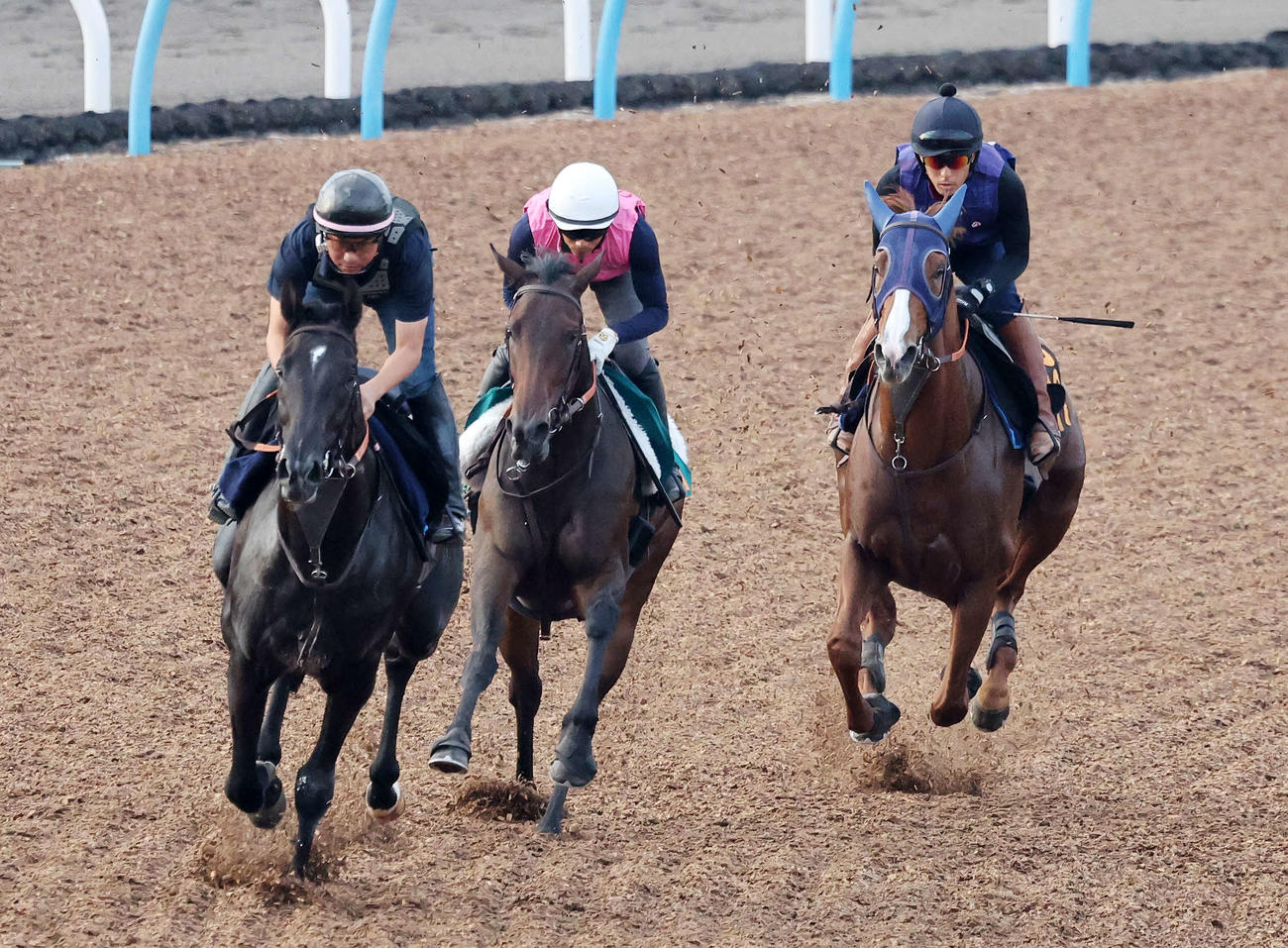 美浦ウッドで3頭併せで追い切るミッキーファイト（右）（撮影・鈴木正人）