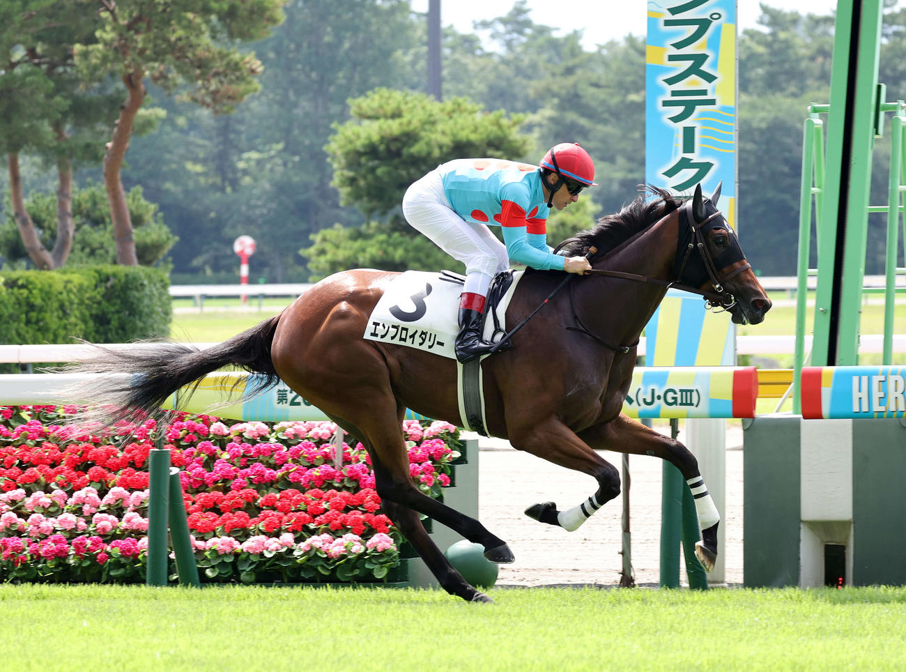 2歳未勝利を制したエンブロイダリーとルメール騎手（撮影・鈴木正人）