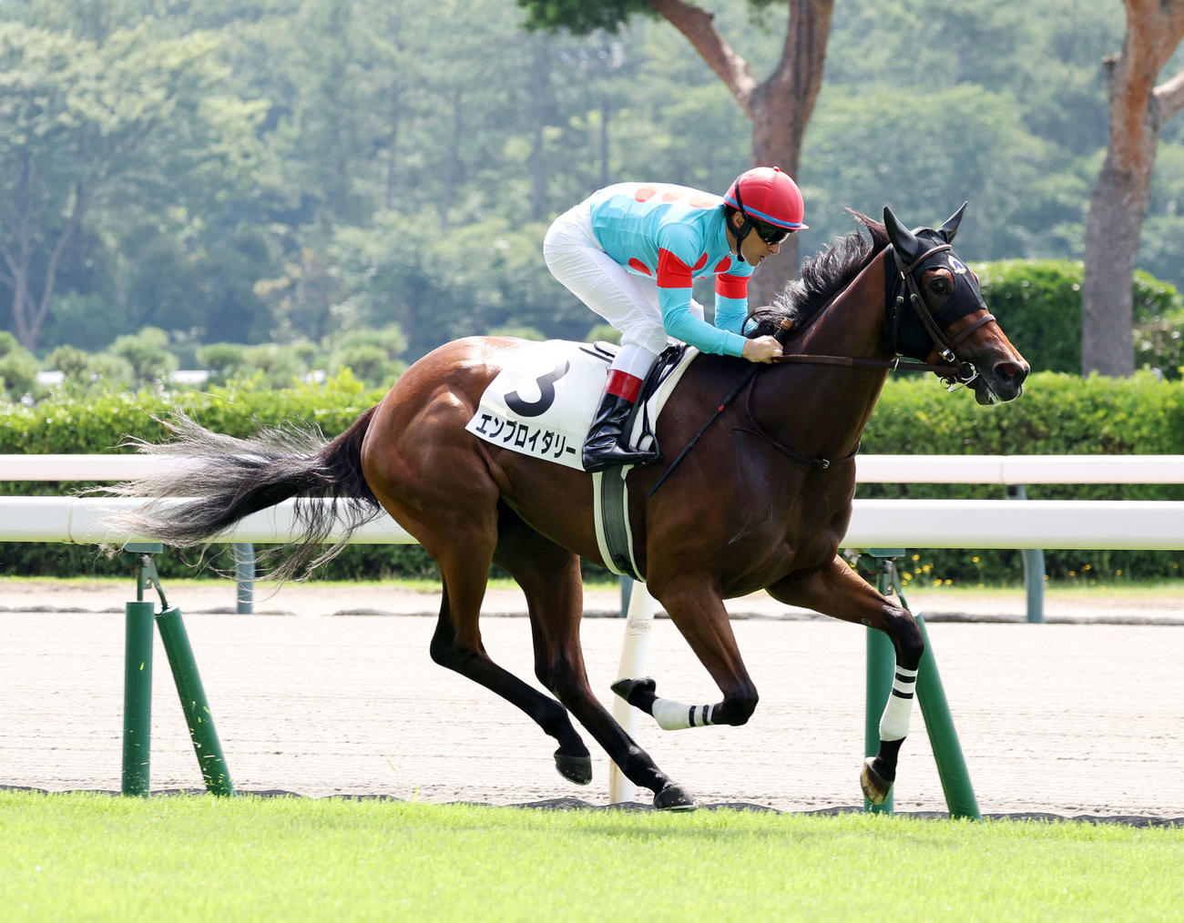2歳未勝利を制したエンブロイダリーとルメール騎手（撮影・鈴木正人）