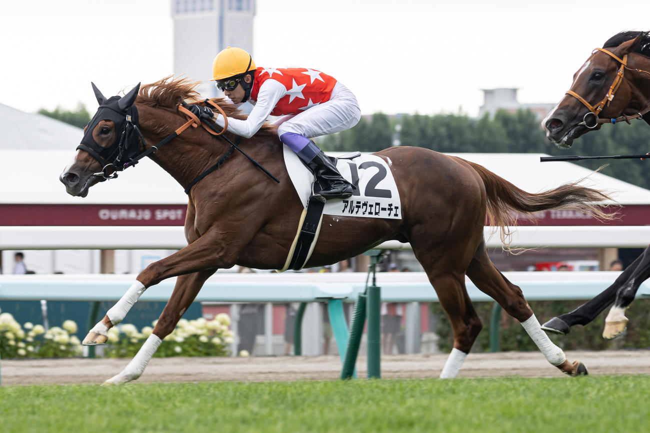 札幌5R、デビュー戦を制したアルテヴェローチェと武豊騎手（撮影・村野早祐）