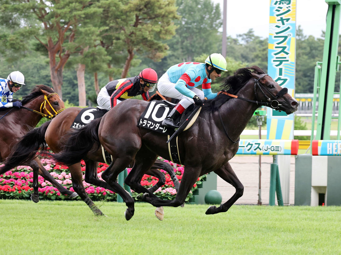豊栄特別を制したトラマンダーレ（手前）とルメール騎手（撮影・鈴木正人）