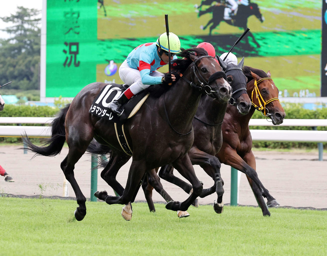 豊栄特別を制したトラマンダーレ（手前）とルメール騎手（撮影・鈴木正人）