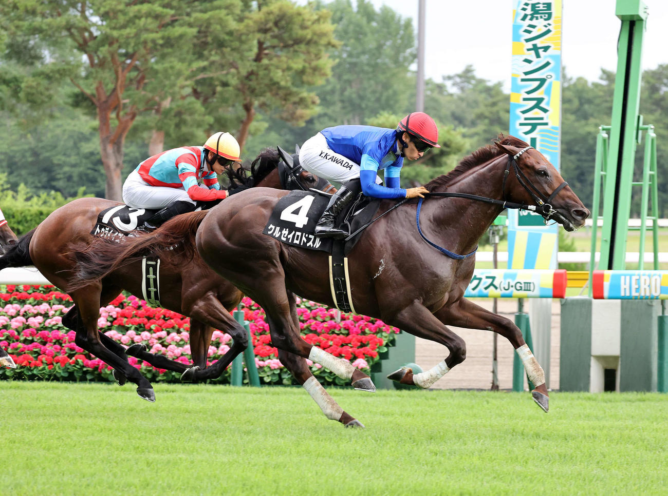 関越Sを制したクルゼイロドスル（右）と川田将雅騎手（撮影・鈴木正人）