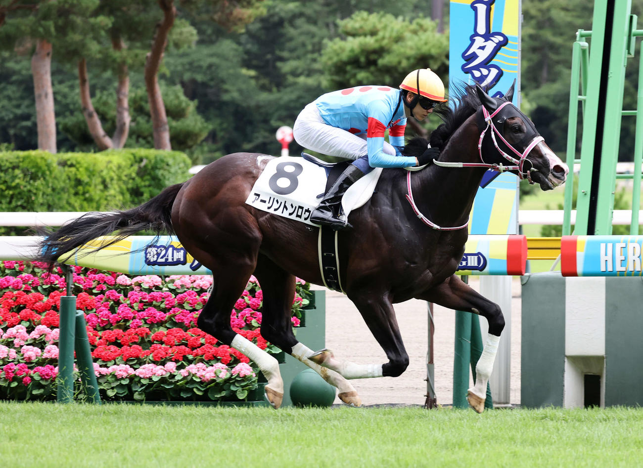 新潟1R、2歳未勝利を制したアーリントンロウと坂井瑠星騎手（撮影・鈴木正人）