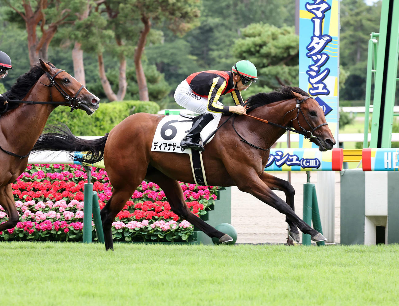 新潟3R、新馬戦を制したディアナザールと団野大成騎手（撮影・鈴木正人）