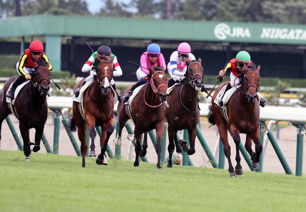 新潟3R、新馬戦を制したディアナザール（右）と団野大成騎手（撮影・鈴木正人）