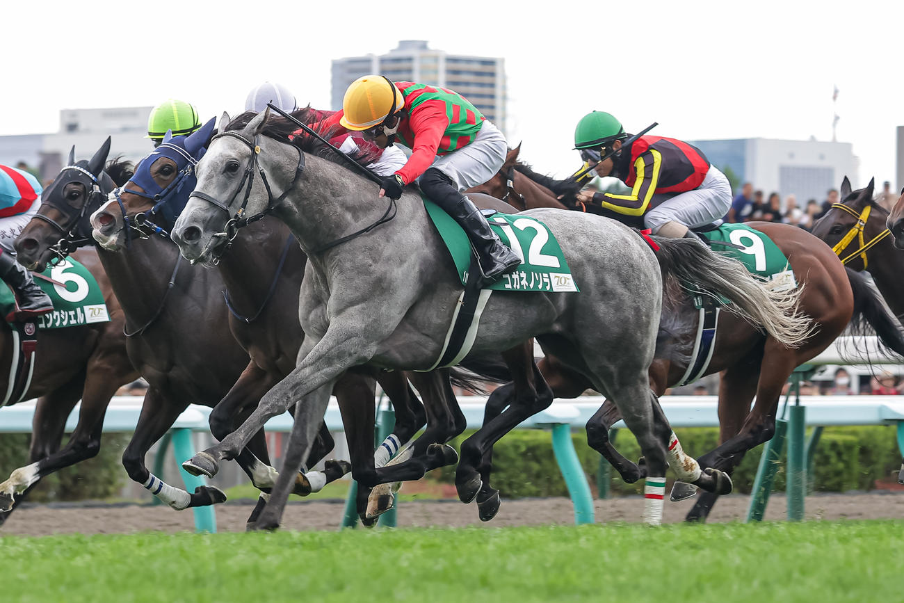 差し切ってクイーンSを制したコガネノソラと丹内騎手（手前）（撮影・村野早祐）