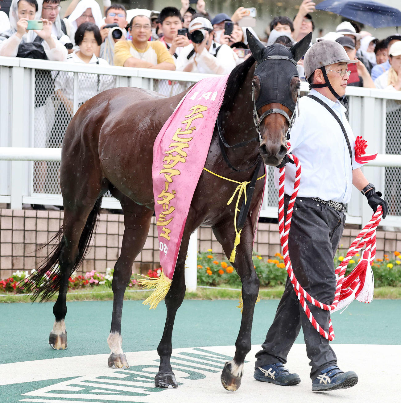 アイビスサマーダッシュを制したモズメイメイ（撮影・鈴木正人）