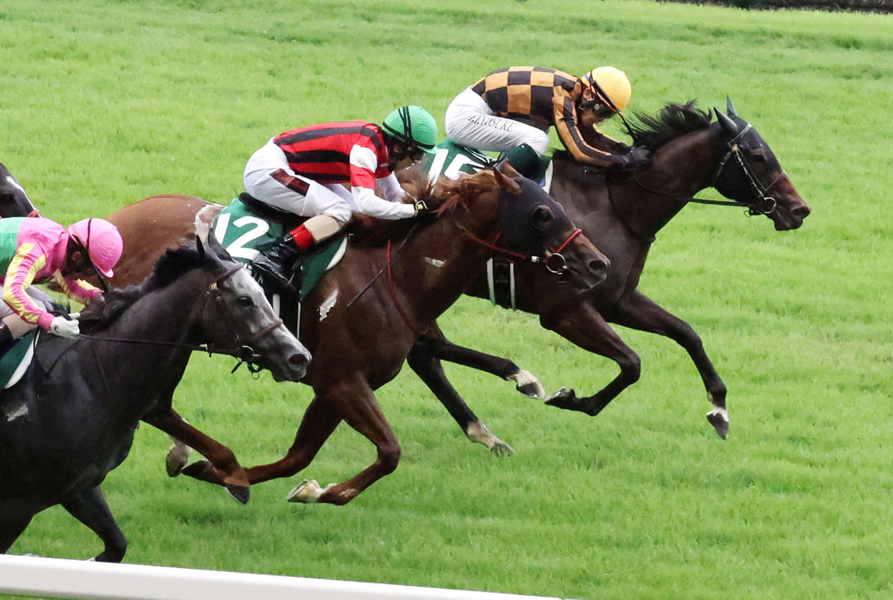 アイビスSD2着のウイングレイテスト（中央）。奥は勝ったモズメイメイ