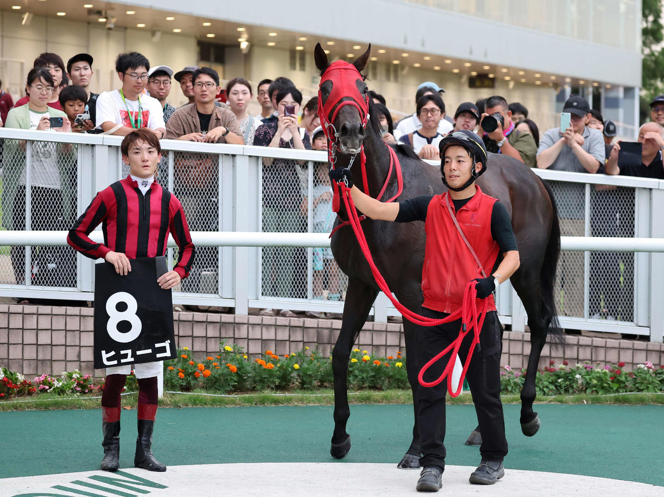 麒麟山特別を制したヒューゴと笹川翼騎手（撮影・鈴木正人）