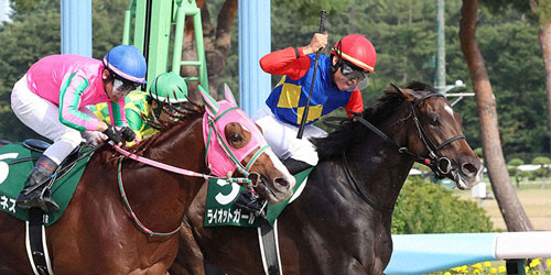 ライオットガールでレパードSを制してガッツポーズを決める岩田望騎手（奥）。手前は2着オメガギネス（撮影・丹羽敏通）＝2023年8月6日、新潟競馬場
