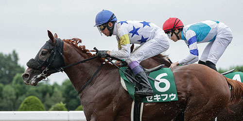 エルムSを制したセキフウと武豊騎手（撮影・村野早祐）＝2023年8月6日、札幌競馬場