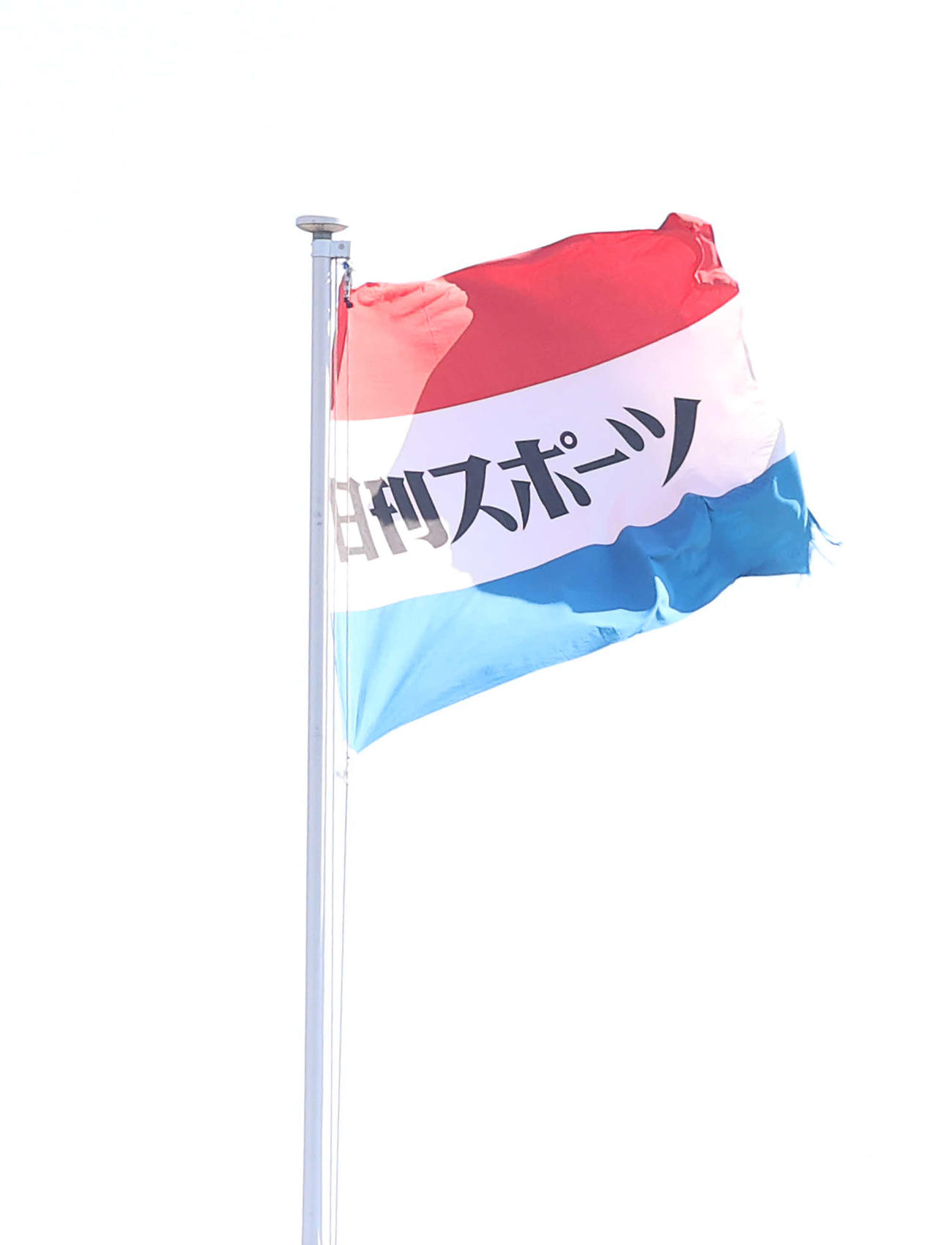 日刊スポーツ社旗（2024年5月撮影）