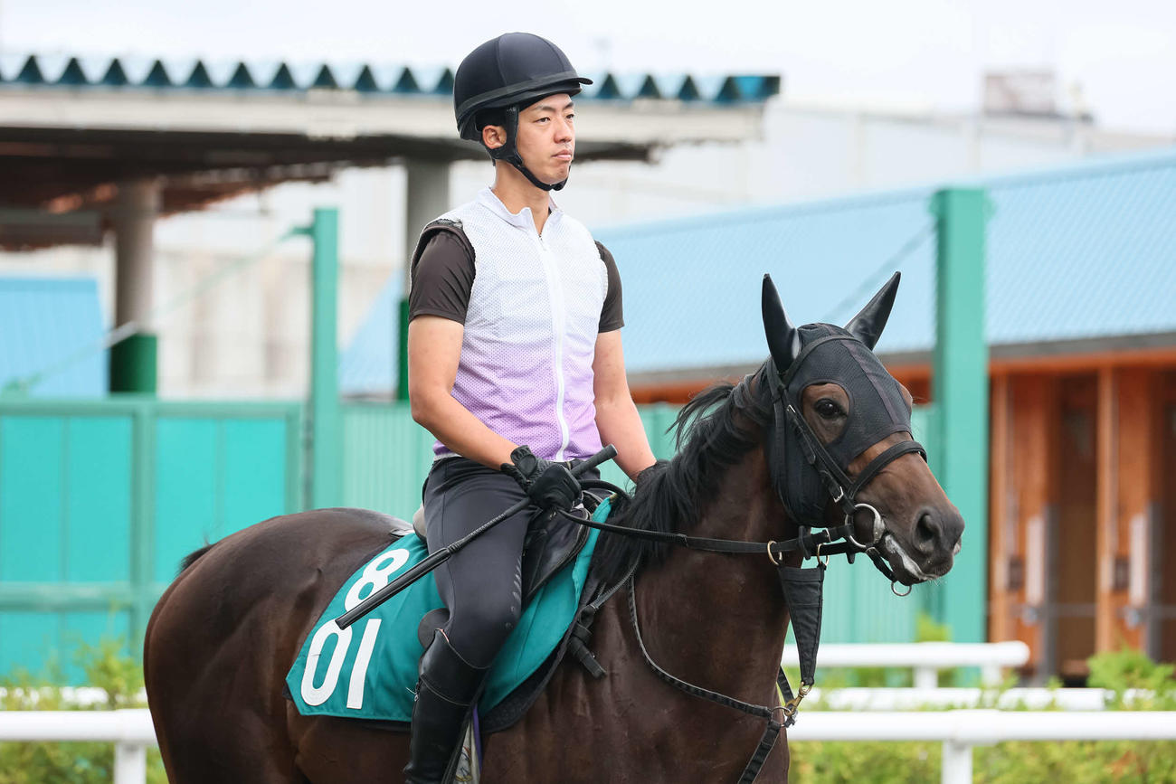 レッドアーネストの調教に騎乗する笠原助手（撮影・村野早祐）