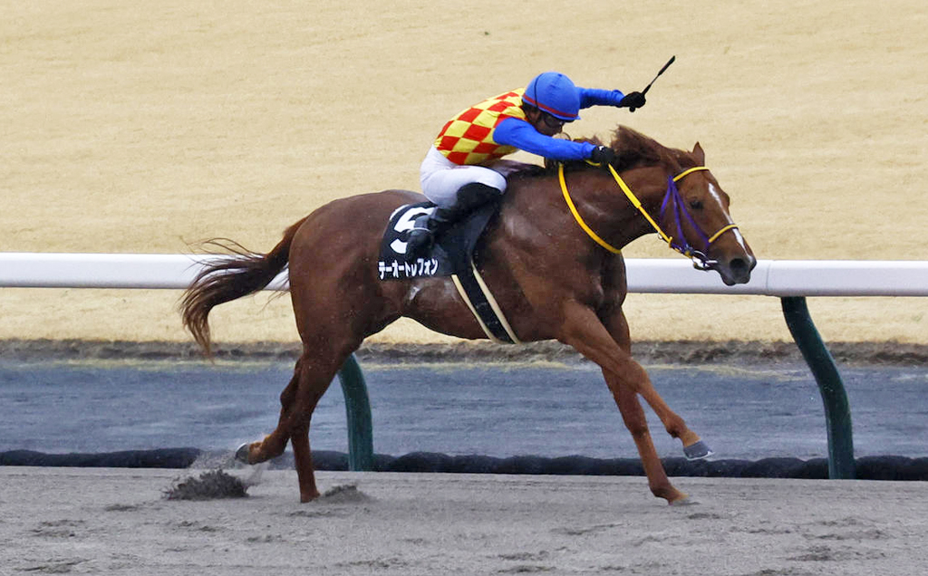 3月17日、名古屋城Sを制したテーオードレフォン