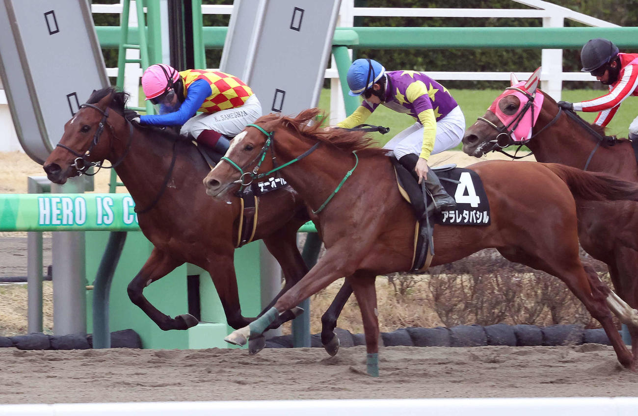 3月23日、伏竜S2着のアラレタバシル（手前）。奥は勝ったテーオーパスワード