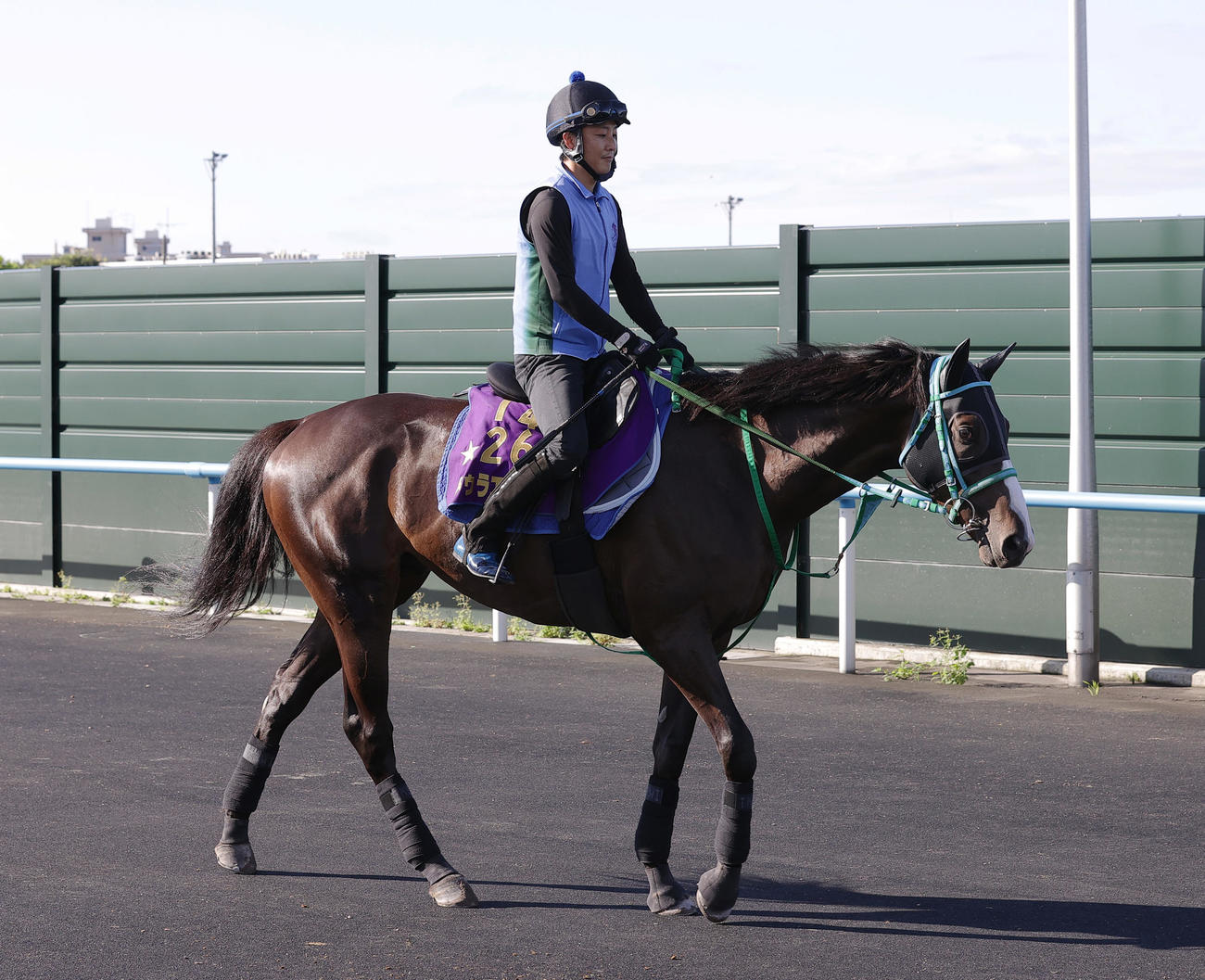 函館競馬場で調整を積むドゥラエレーデ