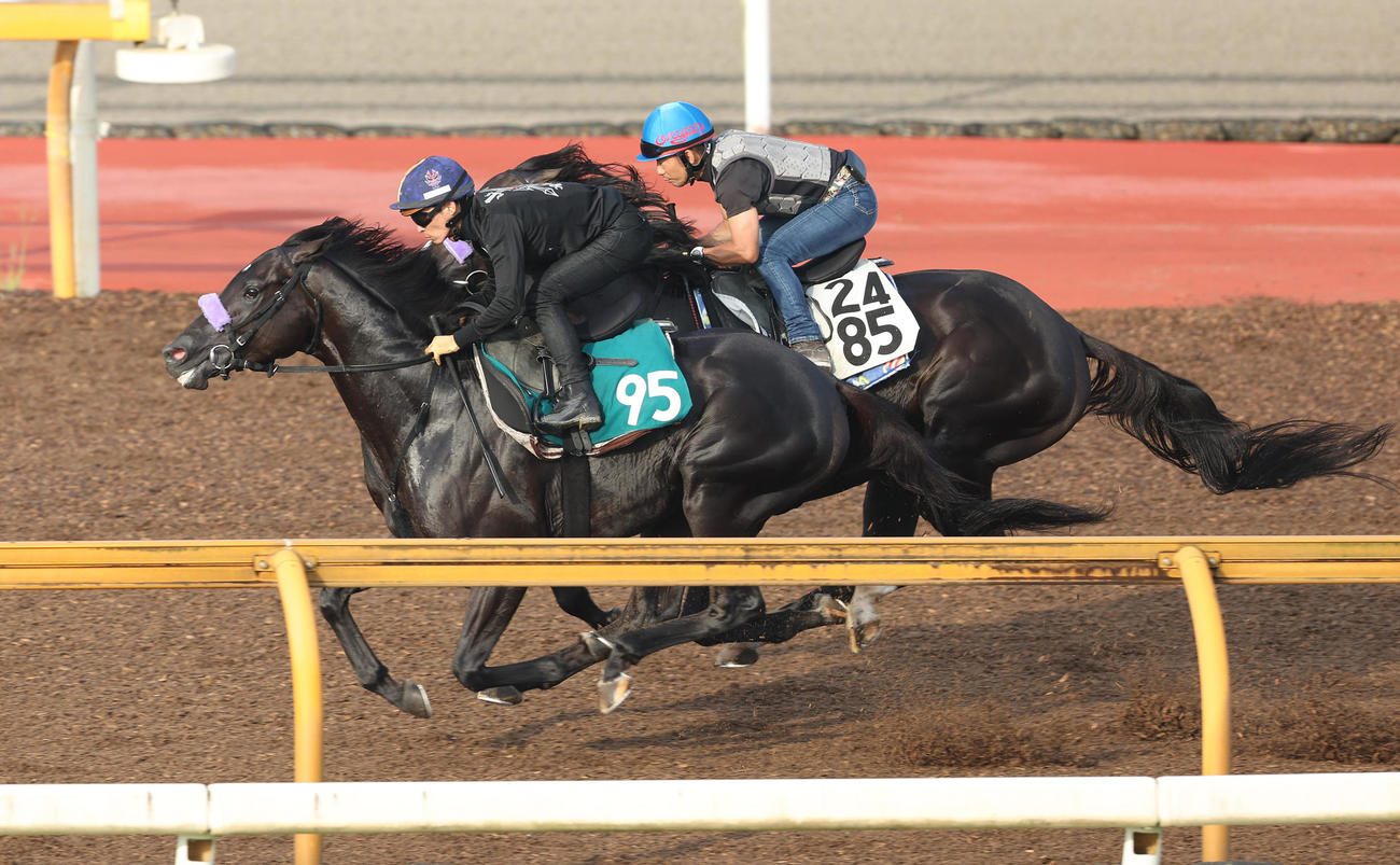 Cウッドで併せ馬を行うジェゼロ（手前ゼッケン95）（2024年7月25日撮影）
