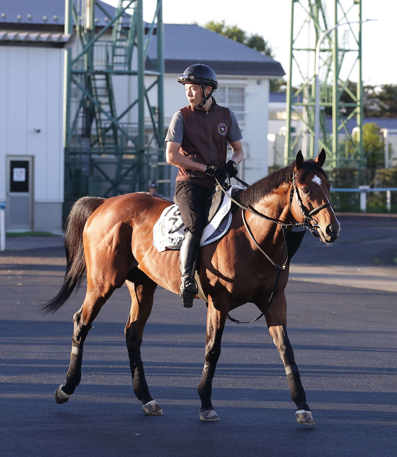 函館競馬場で調整を積むプロミストウォリア