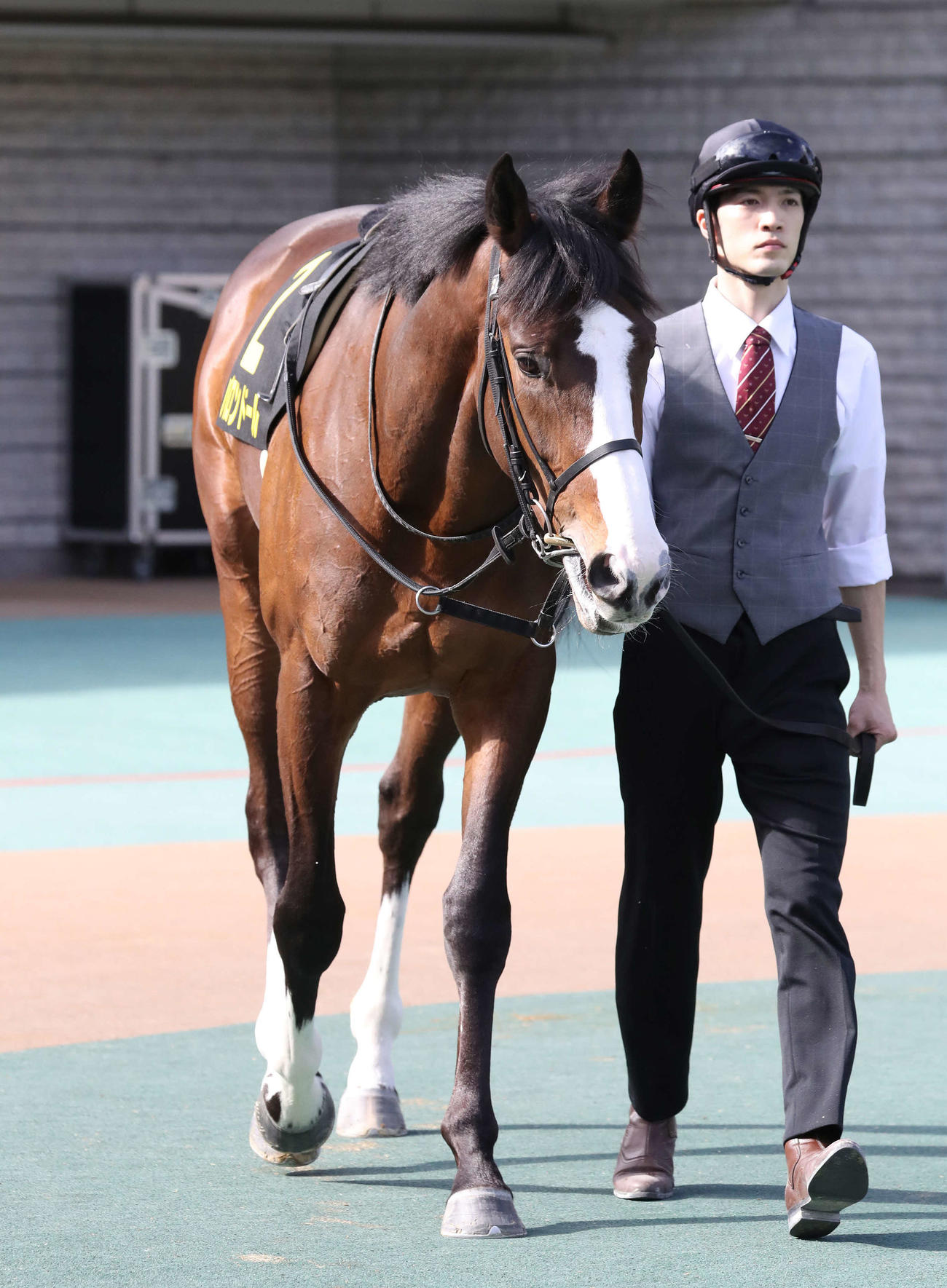 重賞初Vを狙うバロンドール