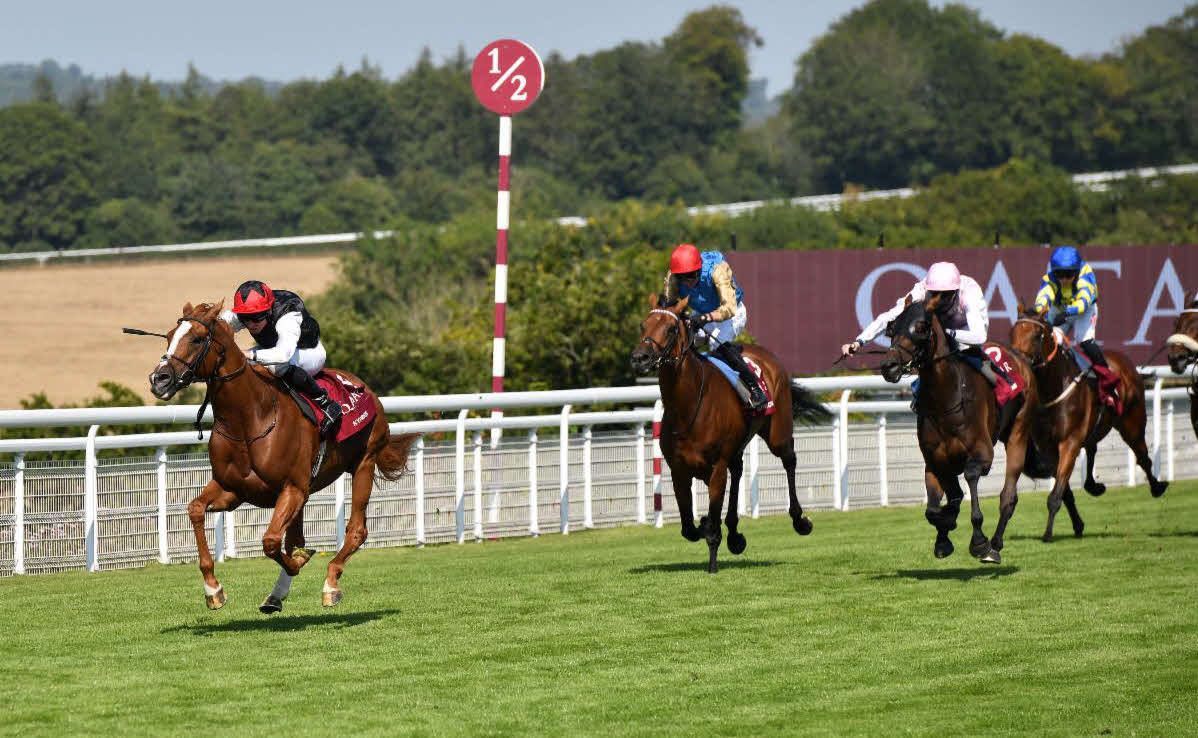 30日、グッドウッドCを制したキプリオス（左）（C）Goodwood Racecourse