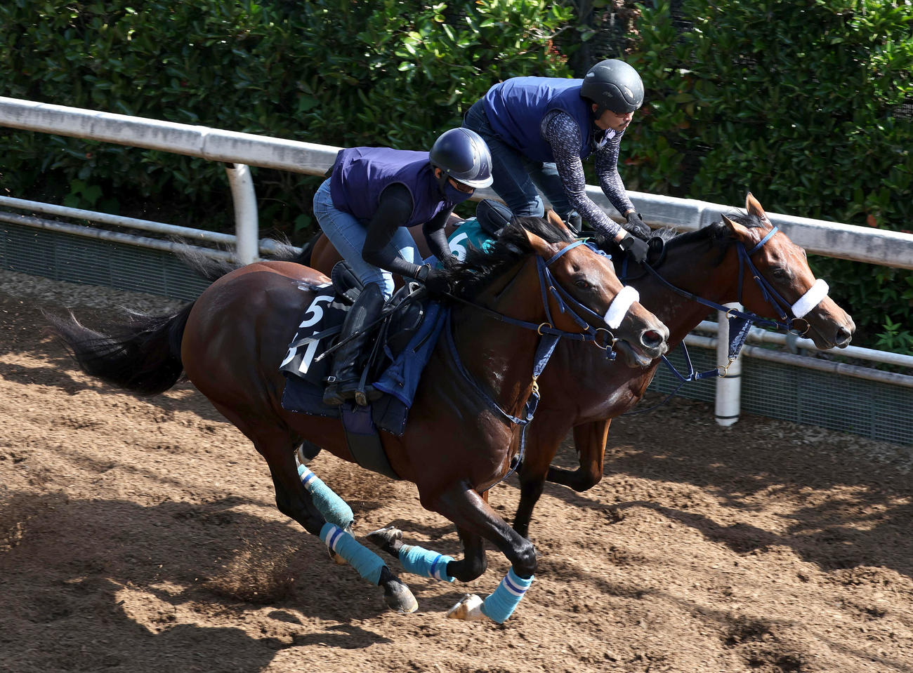 坂路をアイランズコール（右）と併せ馬で追い切るジーサイクロン（撮影・白石智彦）