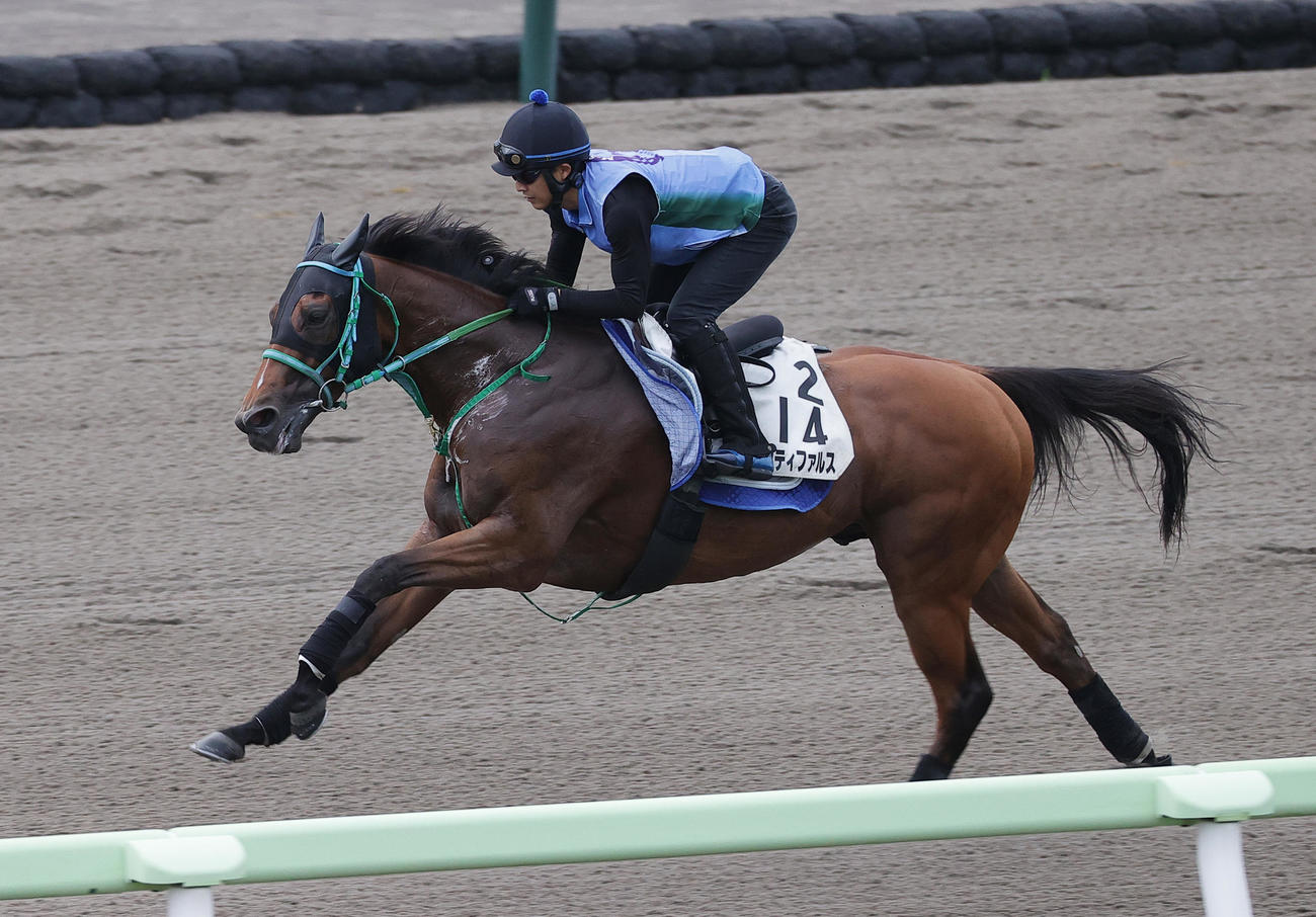 函館ダートコースで追い切られるヴィクティファルス