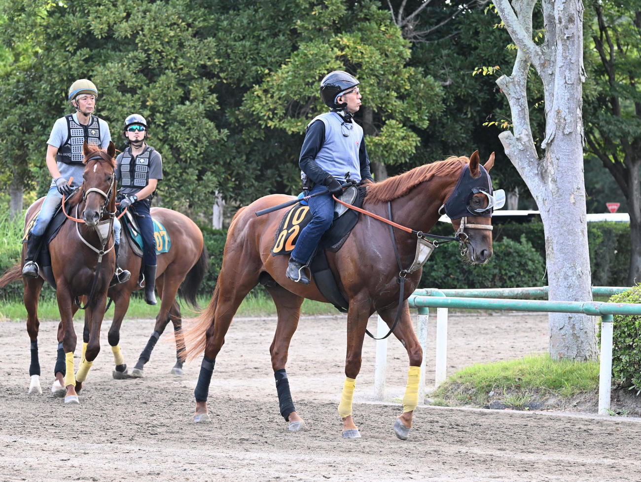乗り運動するハビレ（右）（撮影・千葉一成）