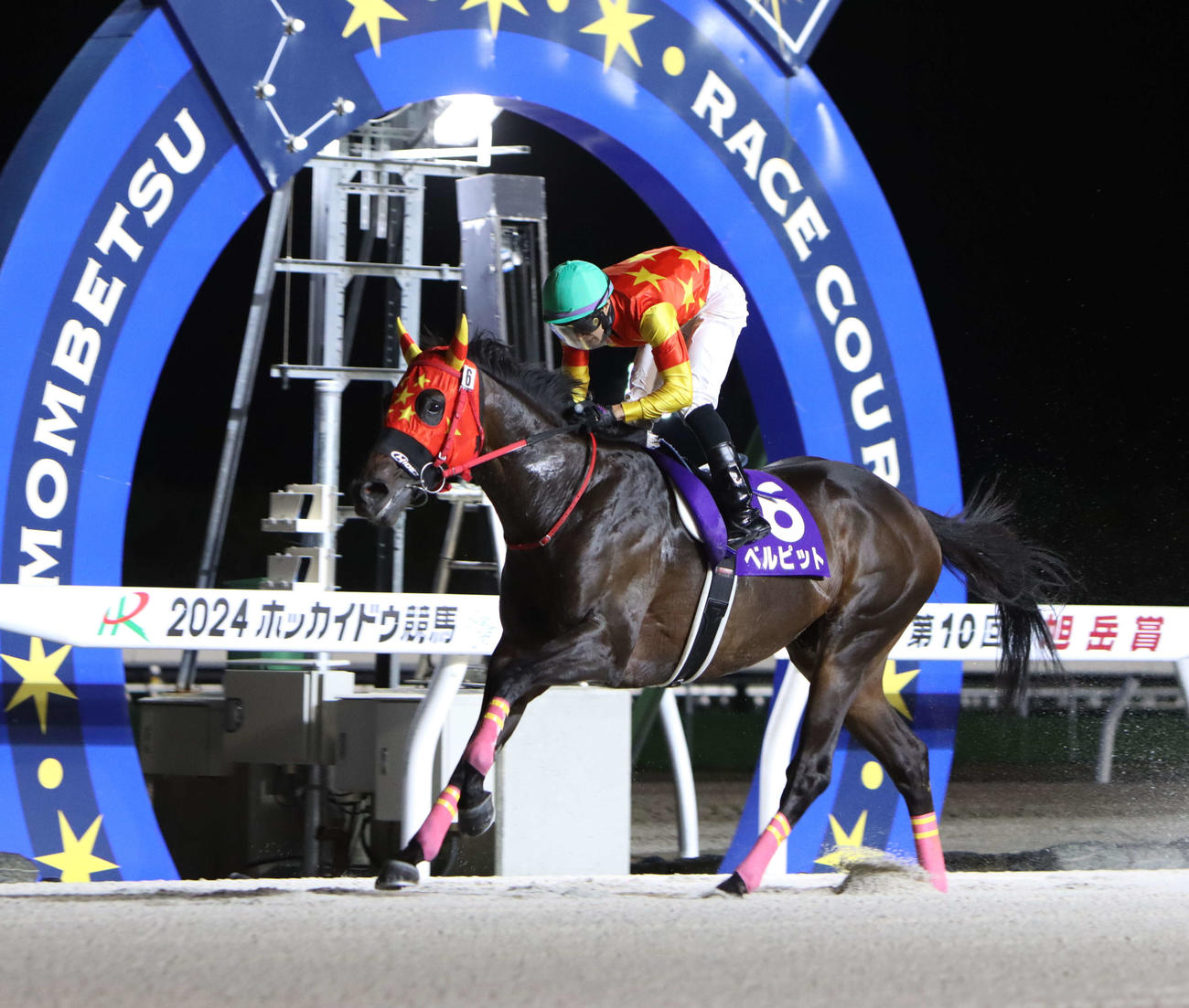 旭岳賞を圧勝したベルピット（撮影・奥村晶治）