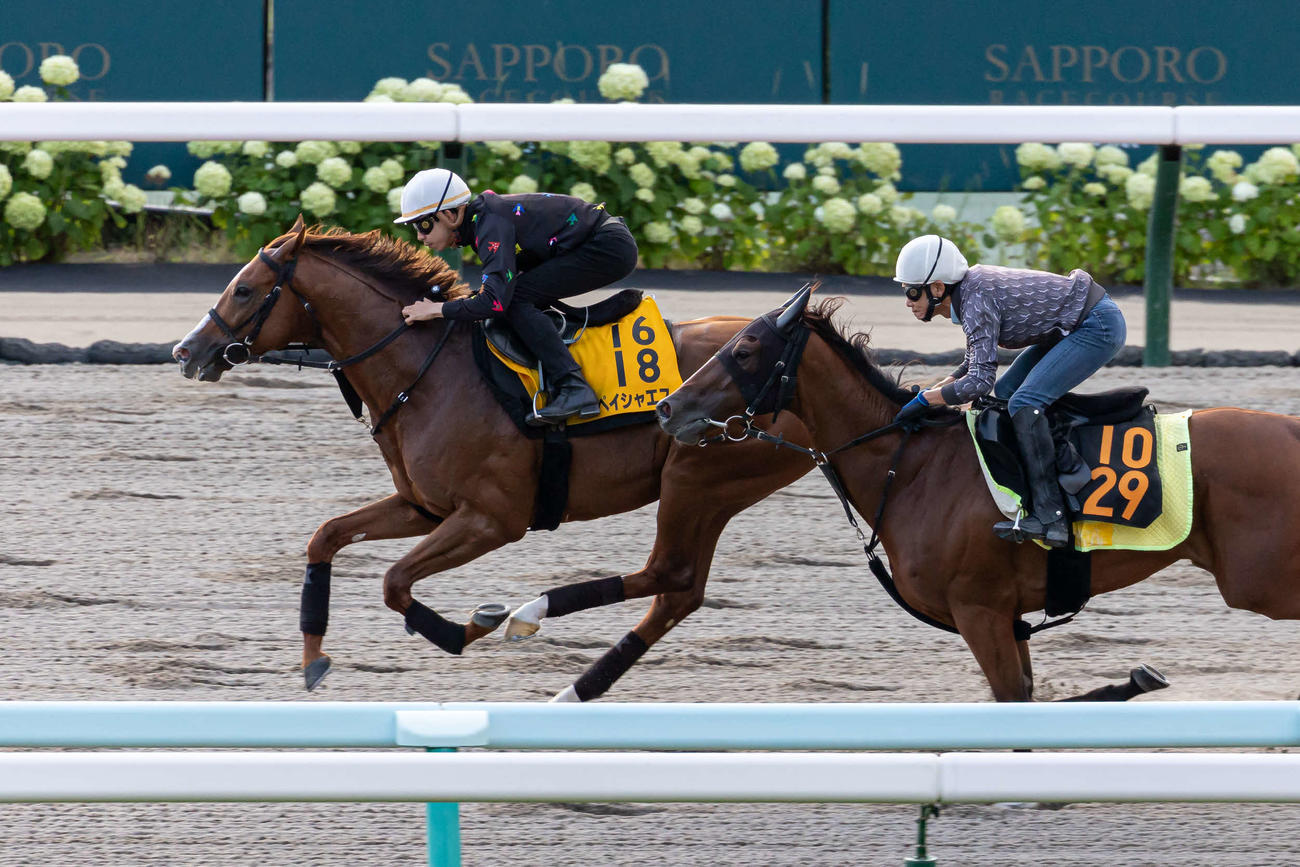 横山和騎手を背に札幌ダートコースで追い切られるペイシャエス（左）（撮影・村野早祐）