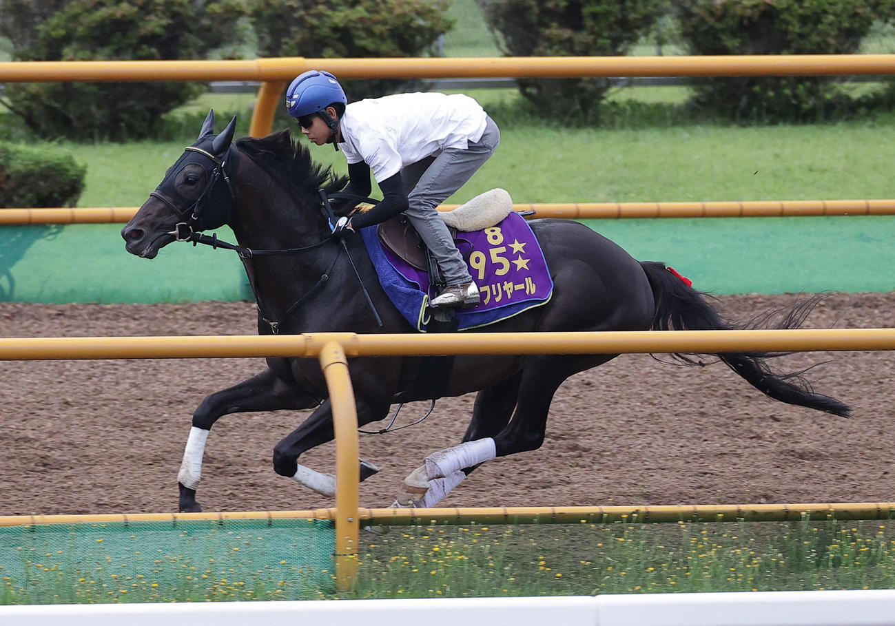 札幌記念出走予定のシャフリヤールは北村友騎手を背に、函館ウッドで追い切られた